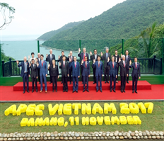 Hội nghị các nhà lãnh đạo các nền kinh tế thành viên APEC lần thứ 25 thành công tốt đẹp