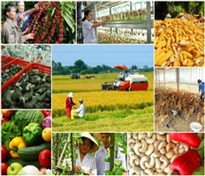Thủ tướng phê duyệt kế hoạch cơ cấu lại ngành nông nghiệp